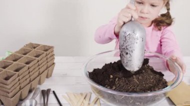 Küçük kız bir okul projesi için bitki tohumlarını küçük kaplara ekmeye yardım ediyor..