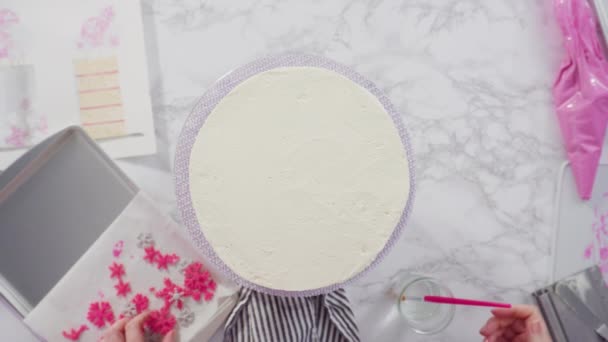 Frosting Redondo Pastel Funfetti Con Glaseado Crema Mantequilla Italiana Blanca — Vídeo de stock