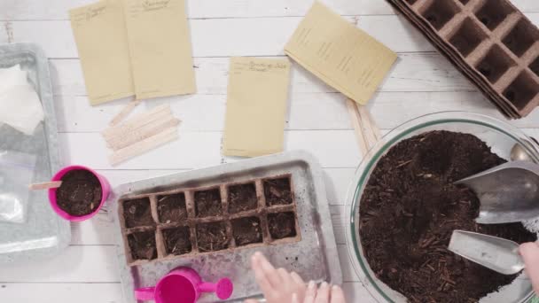 Klein Meisje Helpen Kruidenzaden Planten Kleine Containers Voor Een Thuisschool — Stockvideo