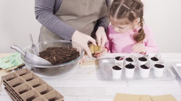 Little Girl Helping Plant Herb Seeds Small Containers Homeschool Project — Stock Video