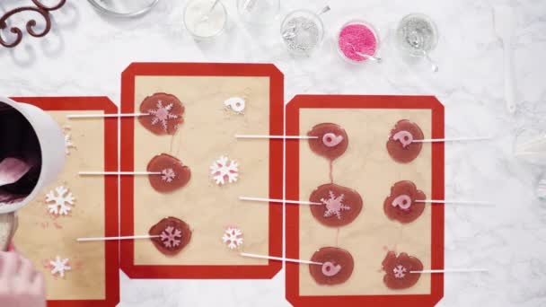 Making Homemade Berry Flavor Lollipops Snowflakes — Stock Video