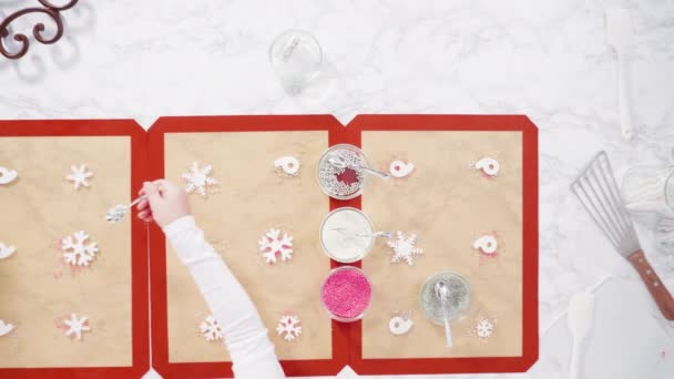 Membuat Rasa Berry Buatan Sendiri Lolipop Dengan Kepingan Salju — Stok Video
