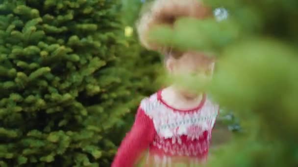 女の子で赤いドレスでクリスマスツリーファーム — ストック動画