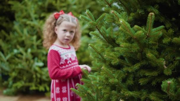 女の子で赤いドレスでクリスマスツリーファーム — ストック動画