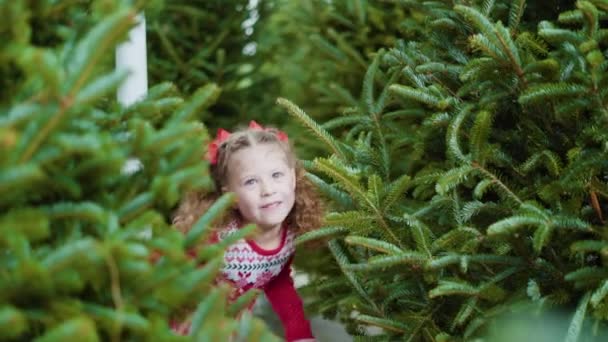 Niña Vestida Rojo Granja Del Árbol Navidad — Vídeos de Stock