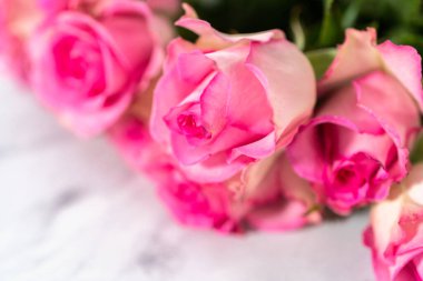 Beyaz arka planda taze pembe gülleri kapat.