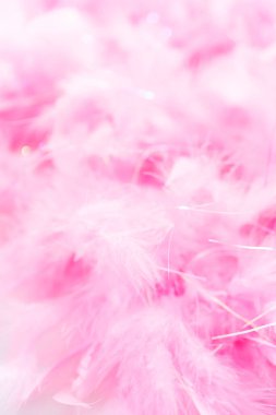 Pembe tüyler beyaz bir nackground 'da.