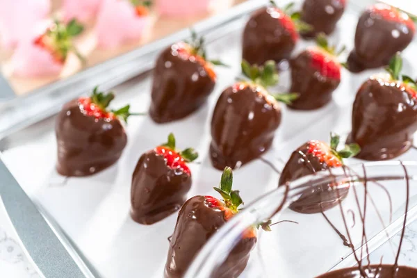 Preparing Chocolate Covered Strawberries Cookie Tray — Stock Photo, Image