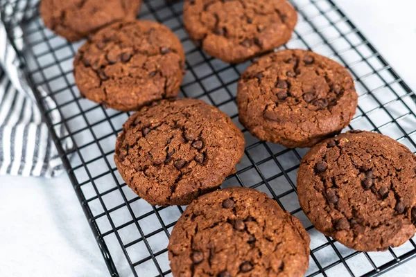 Friskbagt Dobbelt Chokolade Chip Cookies Kølestativ - Stock-foto