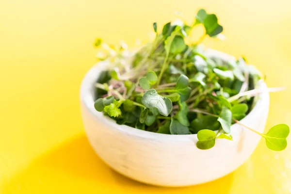 Vers Geoogste Radijs Microgreens Een Kom — Stockfoto