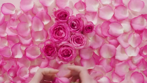 Квіткове Оформлення Букета Рожевих Троянд — стокове відео