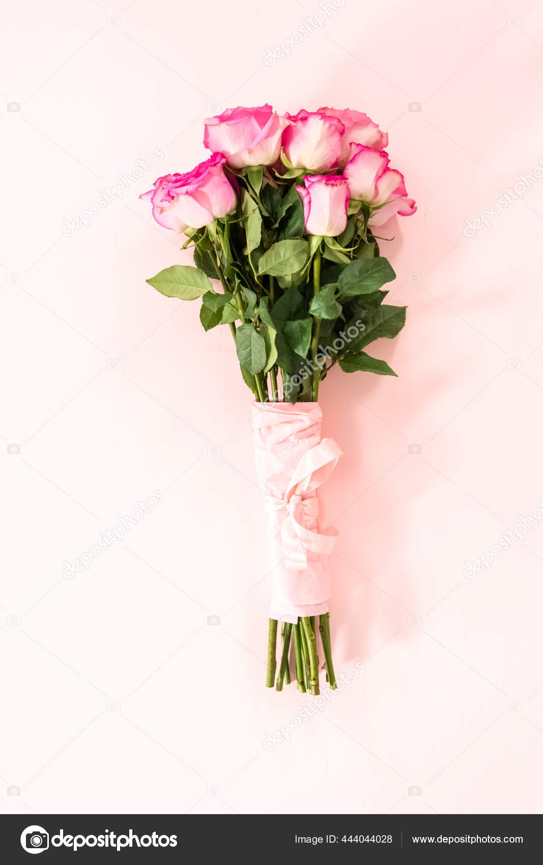 Bouquet Pink Roses Wrapped Pink Wrapping Paper Pink Ribbon Pink Stock Photo  by ©urban_light 444044028