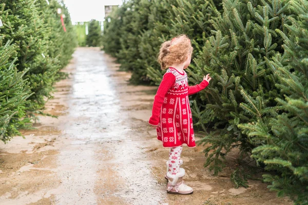 Dívka Červených Šatech Vánoční Stromeček Farmě — Stock fotografie