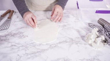 Adım adım. Mermer tezgahın üzerindeki beyaz fondanla kar tanelerini keserek..