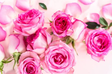 Düz yatıyordu. Pembe güller ve pembe arka planda gül yaprakları.