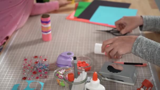 Kids Papercraft Making Paper Bugs Out Empty Toilet Paper Rolls — Stock Video