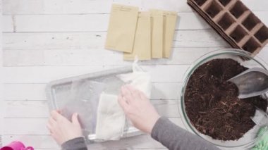 Küçük kız bir okul projesi için bitki tohumlarını küçük kaplara ekmeye yardım ediyor..