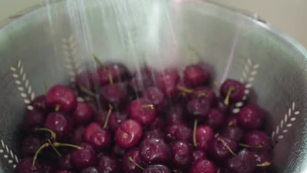Washing Organic Red Cherries Colendar — Stock Video