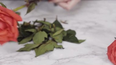 Çiçek aranjmanı için kırmızı güller açan bir çiçekçi..