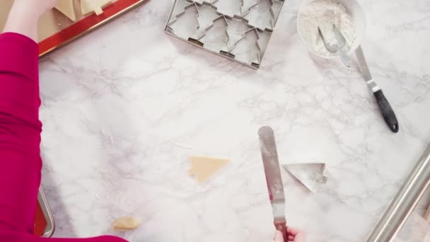 从姜饼面团上切下圣诞饼干切碎的形状 — 图库视频影像
