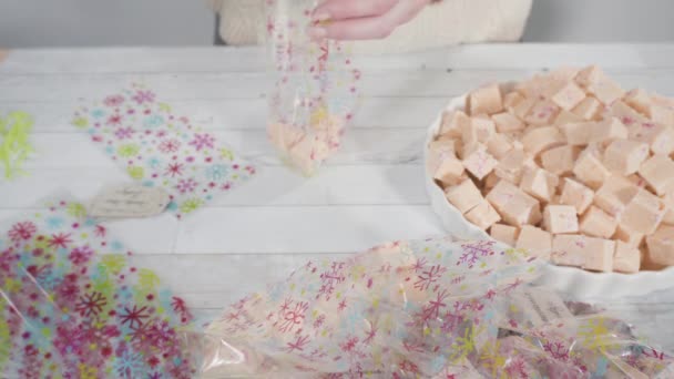 Yapımı Şekerleme Kurabiyeleri Noel Hediyesi Kutusuna Koymak — Stok video