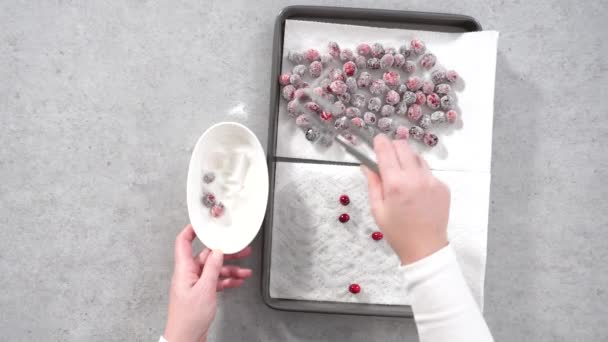用红莓和柠檬片做柠檬红莓面包 — 图库视频影像