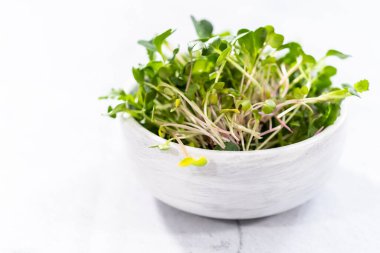 Bir kasede taze toplanmış turp mikroçerezleri..