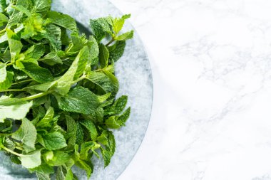 Mermer bir arka planda organik bahçeden taze nane..