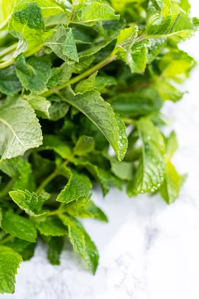 Mermer bir arka planda organik bahçeden taze nane..