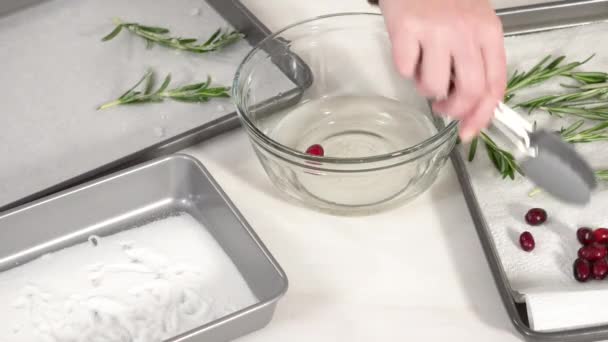 Time Lapse Step Step Covering Fresh Cranberries Rosemary Sugar Decorate — Stock Video