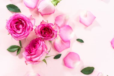 Düz yatıyordu. Pembe güller ve pembe arka planda gül yaprakları.