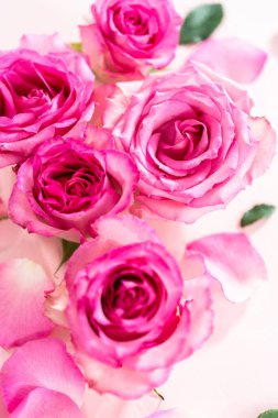 Düz yatıyordu. Pembe güller ve pembe arka planda gül yaprakları.