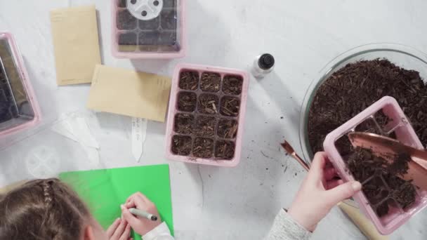 小女孩帮助用泥土在种子播种机上播种 — 图库视频影像