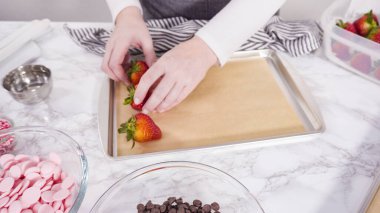 Adım adım. Çikolata soslu çilek yapmak için bir tepside organik çilek düzenlemek..