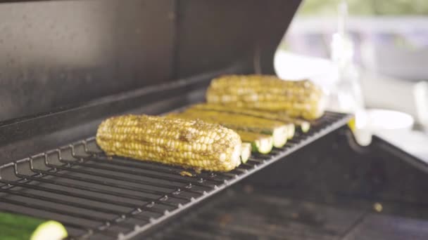 Lazac Grillezése Gázégő Grillsütőn Hátsó Udvaron — Stock videók