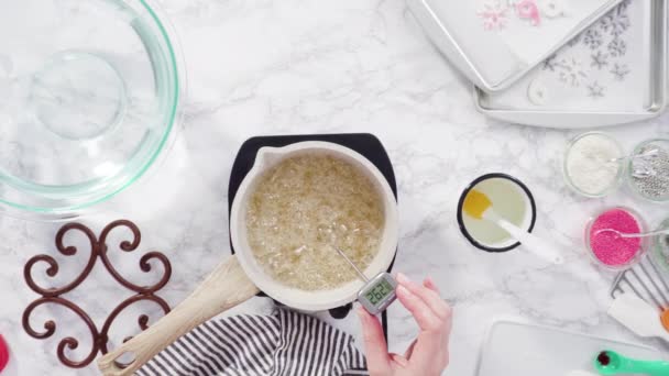 Plat Gelegd Stap Voor Stap Karameliserende Suiker Een Kleine Kookpot — Stockvideo