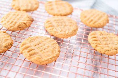 Kurutucu rafta yeni pişmiş fıstık ezmeli kurabiyeler soğuyor..