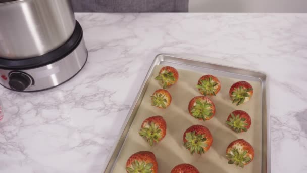 Arranging Organic Strawberries Baking Sheet Make Chocolate Dipped Strawberries — Stock Video