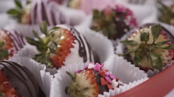 Arrangieren Von Bio Erdbeeren Auf Einem Backblech Schokolade Eingetauchte Erdbeeren — Stockvideo