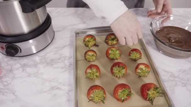 Disposer Des Fraises Biologiques Sur Une Plaque Pâtisserie Pour Faire — Video