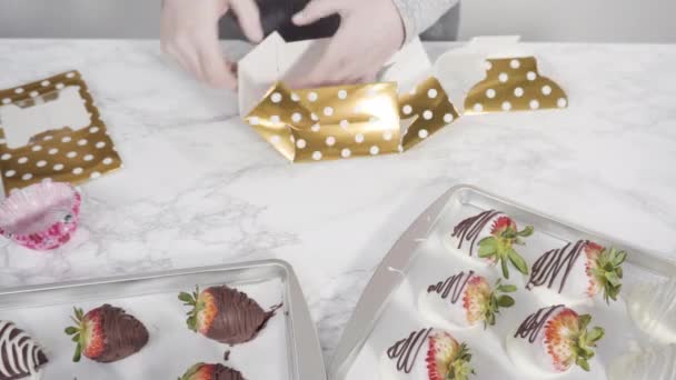 Organic Strawberries Chocolate Dipped Close View — Stock Video