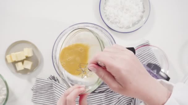 Zutaten Der Küchenmaschine Mischen Kokosplätzchen Backen — Stockvideo