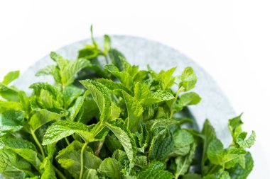 Beyaz arka planda organik bahçeden taze nane..