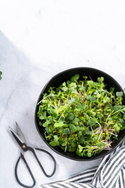 Bir kasede taze toplanmış turp mikroçerezleri..