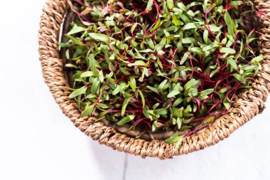 Mor saplı turp mikroçerezleri ve sepette yeşil yapraklar.