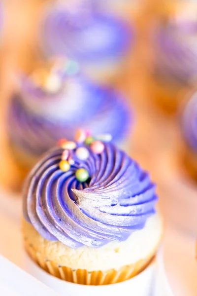 Vanilla Bright Delicious Cupcakes Decorations — Stock Photo, Image