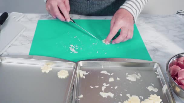 Hacer Copos Nieve Fondant Con Brillo Alimentos — Vídeos de Stock