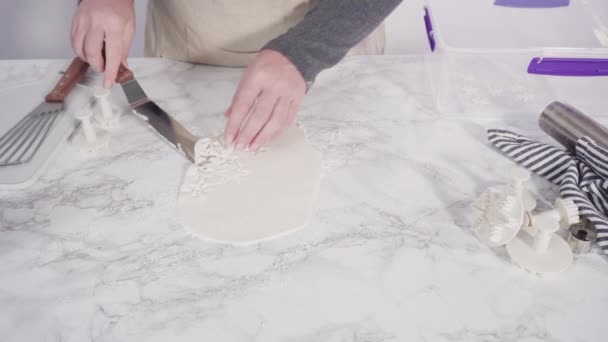 Виготовлення Помадних Сніжинок Харчовим Блиском — стокове відео