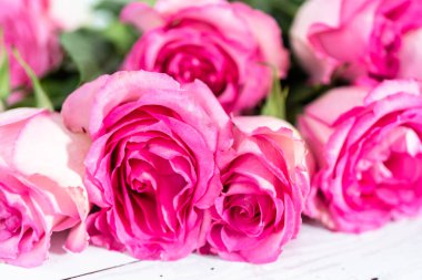 Boyanmış beyaz ahşap arka planı olan pembe güller..