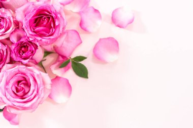 Düz yatıyordu. Pembe güller ve pembe arka planda gül yaprakları.